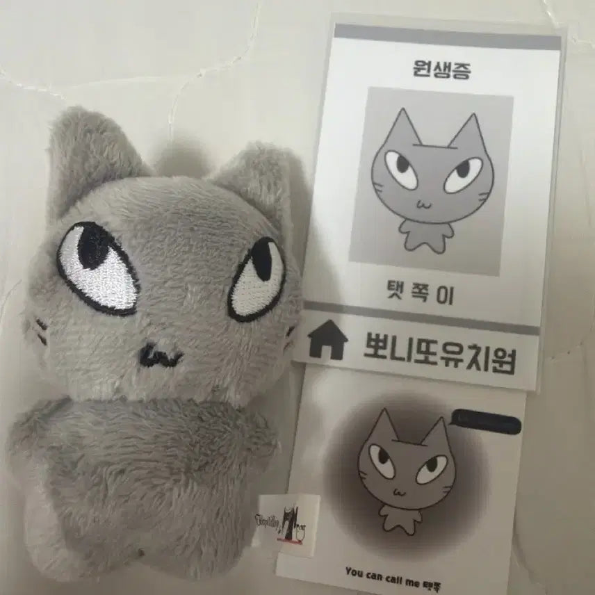 [BUNJANG] Ponyetto Kindergarten Baby Doll with Student ID / 탯쪽이 판매합니다