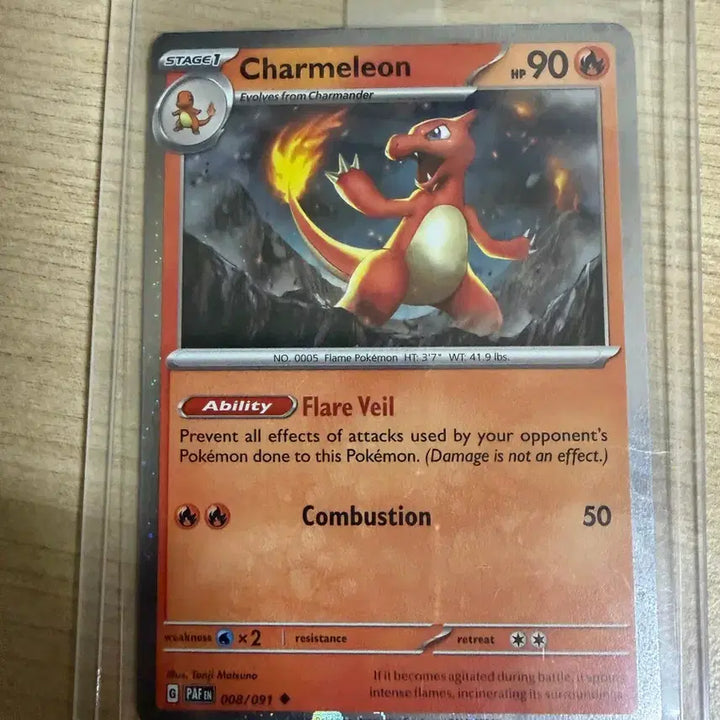 [BUNJANG] Pokemon Card North American Charizard ex Set (English) / 포켓몬카드 북미 파이리 리자드 리자몽ex 3종세트(영판)