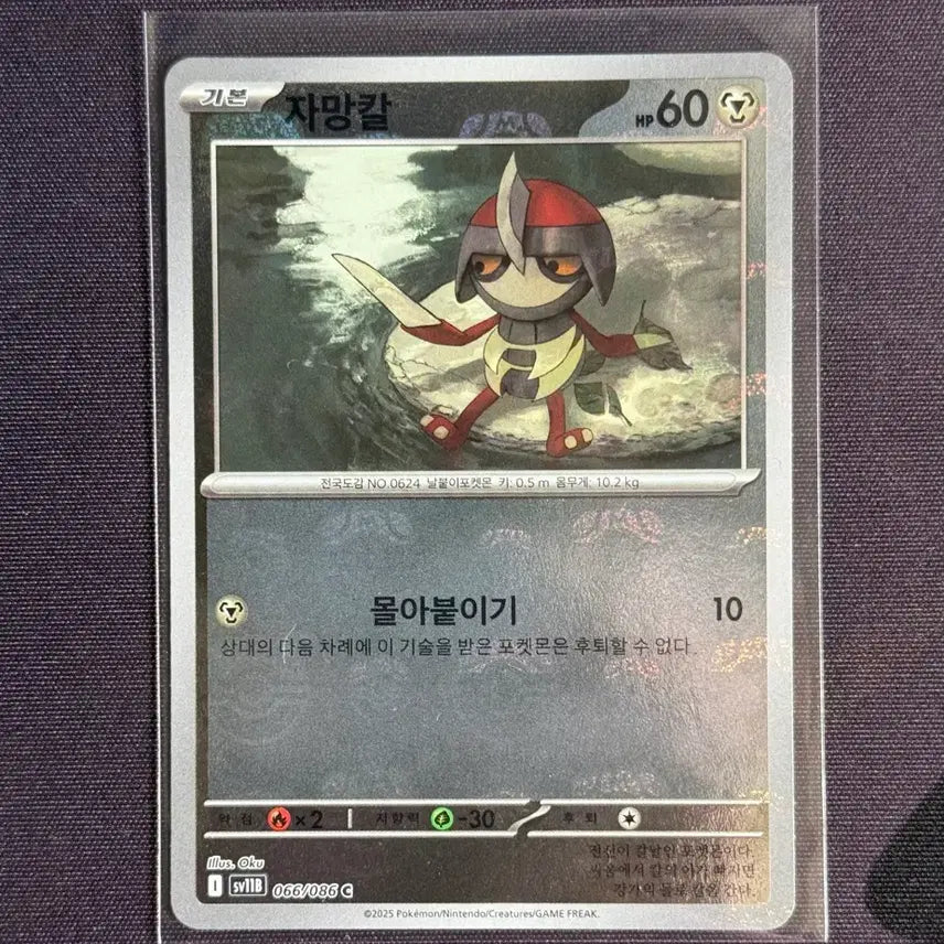 [BUNJANG] Pokemon Card Master Ball Mirror Set (6 Types) / 포켓몬카드 마스터볼 미러 6종