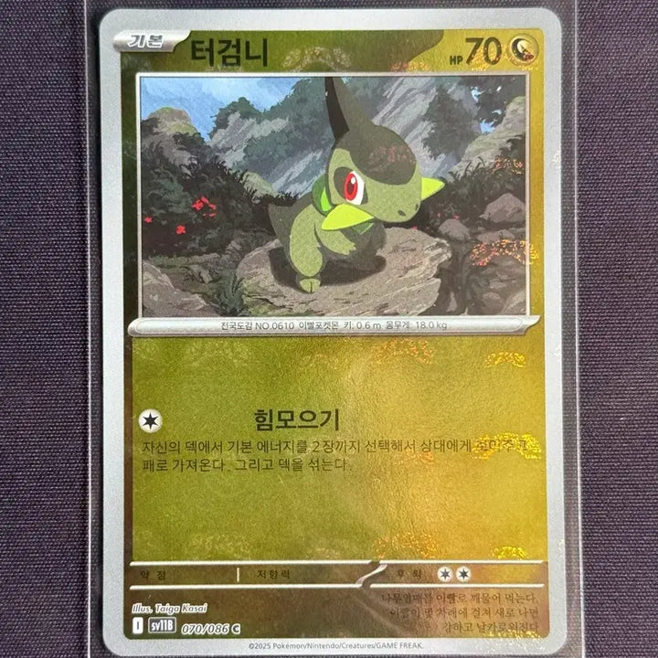 [BUNJANG] Pokemon Card Master Ball Mirror Set (6 Types) / 포켓몬카드 마스터볼 미러 6종