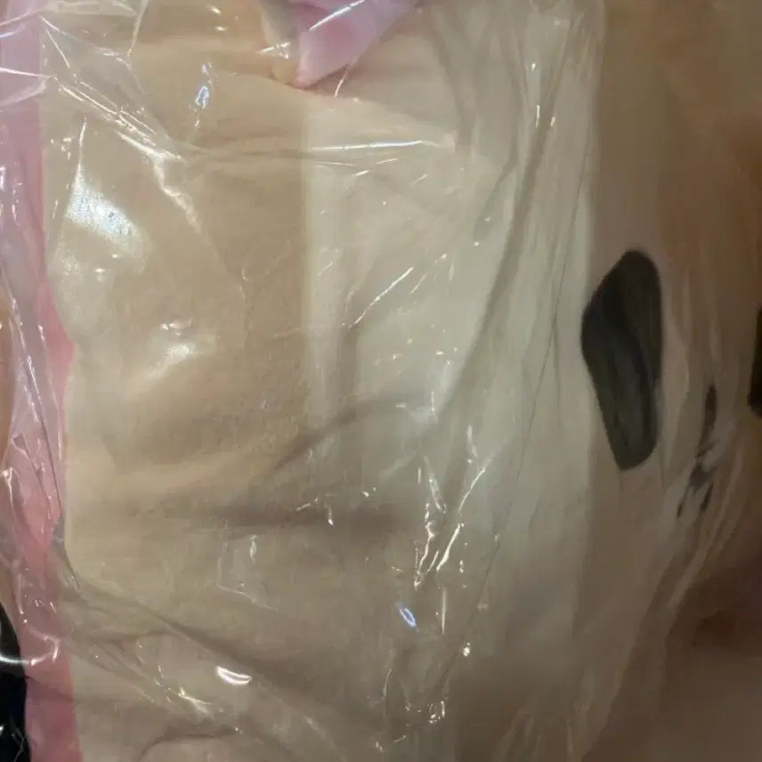 [BUNJANG] Korilakkuma Mochi Pillow / 판매) 코리락쿠마 모찌 베개