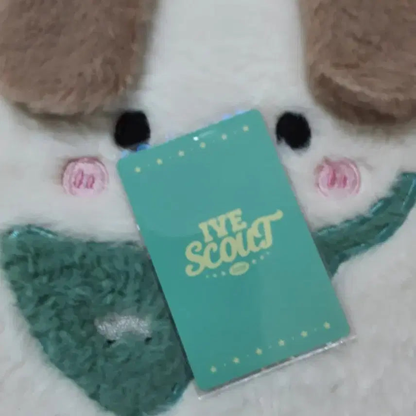 [BUNJANG] IVE Autumn SCOUT Photocard / 아이브 SCOUT 가을 포카