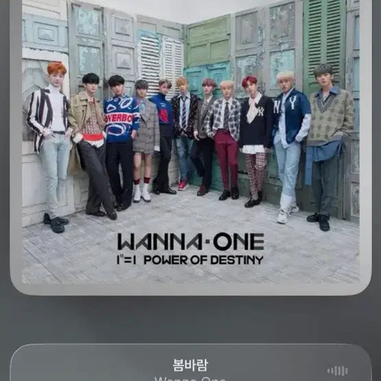[BUNJANG] Wanna One Spring Breeze Album Group Photocard / 소심이들고있는 포카