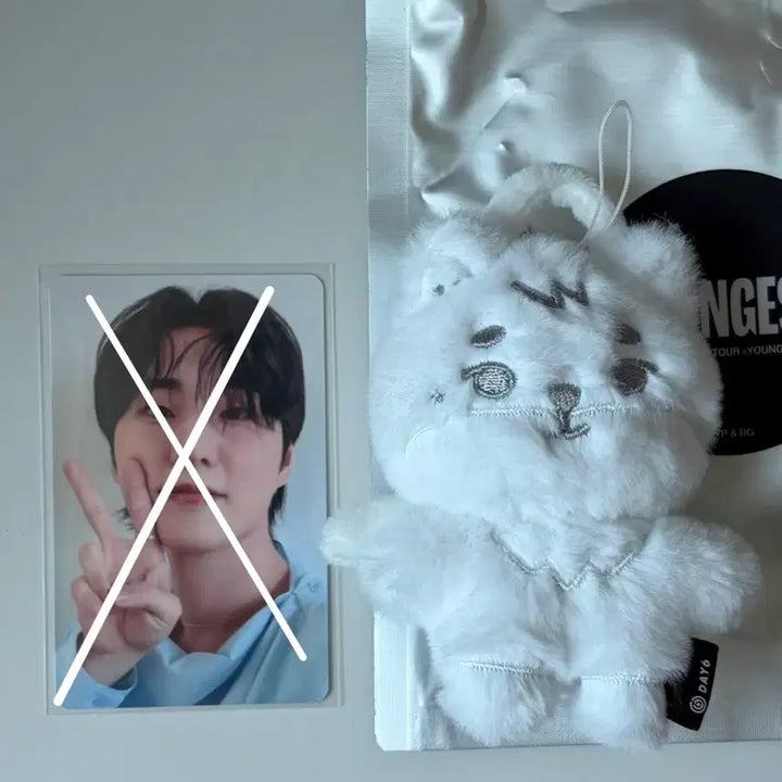 [BUNJANG] DAY6 Young K Youngest Secret Keyring Angel / 데이식스 영케이 영기스트 시크릿 키링 천사 쁘멀케