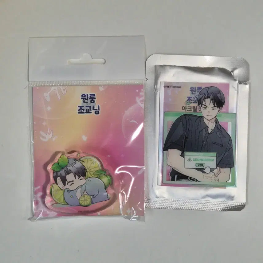 [BUNJANG] Wonroom Jojo (Yoon Seungbum) Beomseuke Acrylic Card &amp; Mini Acrylic Bundle Set / 원룸조교님 윤승범 범스케 아크릴카드, 미니아크릴 일괄판매