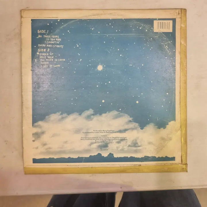 [BUNJANG] Various Artists Rare Imported LP Records / LP 락, 뮤지컬, 팝 기타 / 개별가격