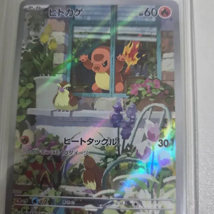 [BUNJANG] Pokemon Card Charmander AR Single Card (Japanese) / 포켓몬카드 파이리 ar 싱글카드 일판