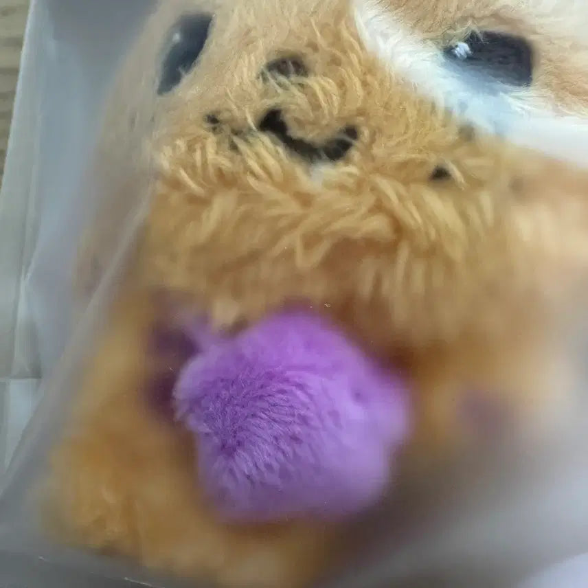 [BUNJANG] Original Wish Doll Sion NCT Wish Sion Sealed / [미개봉]오리지널 위시돌 시오닝 엔시티위시 시온
