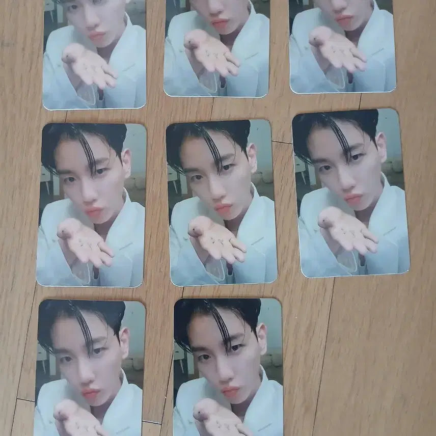 [BUNJANG] EXO Baekhyun Photocard Bundle Set / 엑소 백현 포카 22장 일괄