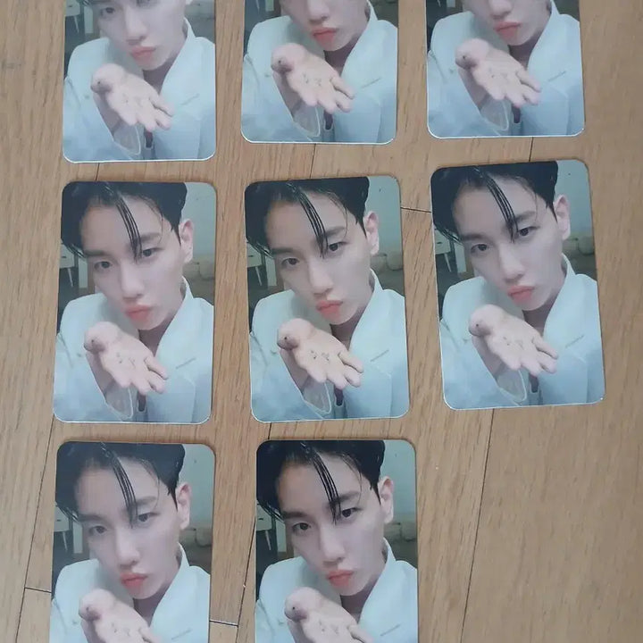[BUNJANG] EXO Baekhyun Photocard Bundle Set / 엑소 백현 포카 22장 일괄