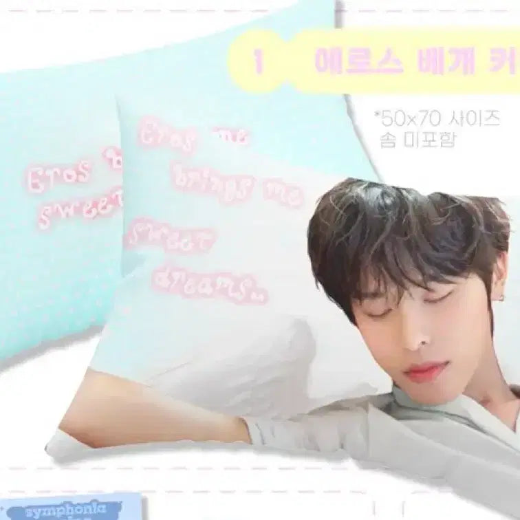 [BUNJANG] Riku Eros Pillow Cover (Sealed) / [미개봉] 리쿠 에로스 베개커버 양도합니다