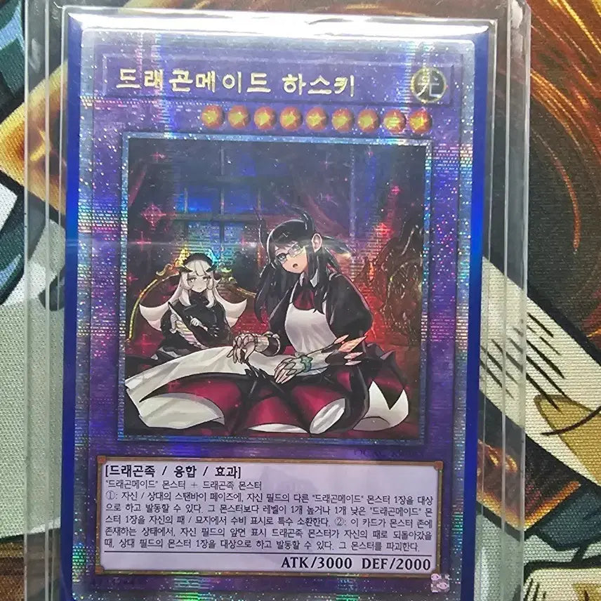 [BUNJANG] Dragonmaid Haski Fusion Monster Card / 드래곤메이드 하스키 쿼싴