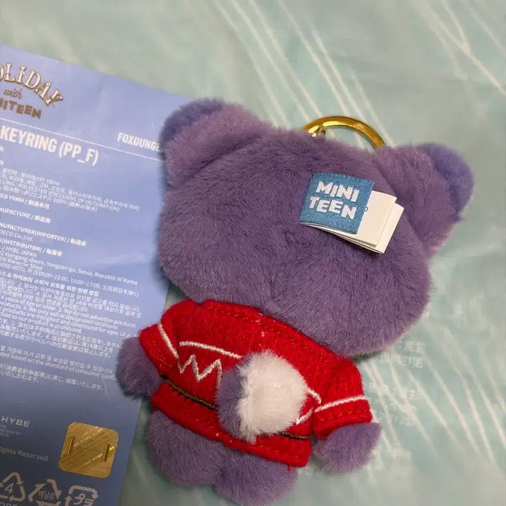 [BUNJANG] SEVENTEEN Wonwoo Miniteen Doll "Pokdeongyi" Keychain / 세븐틴 원우 인형 공굿 미니틴 폭덩이 키링