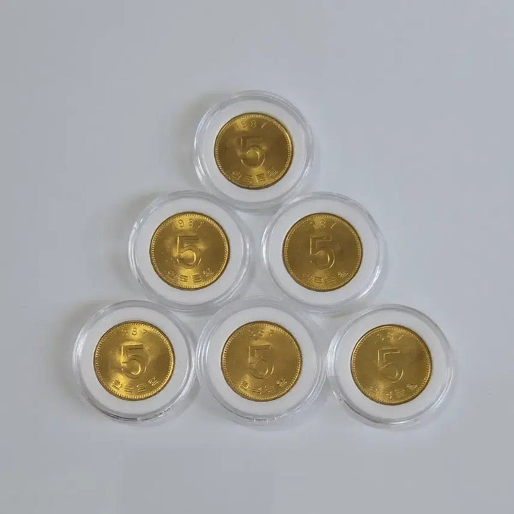 [BUNJANG] 1987 5 Won Coin Bundle Set / 화폐수집 1987년 5원 주화 일괄