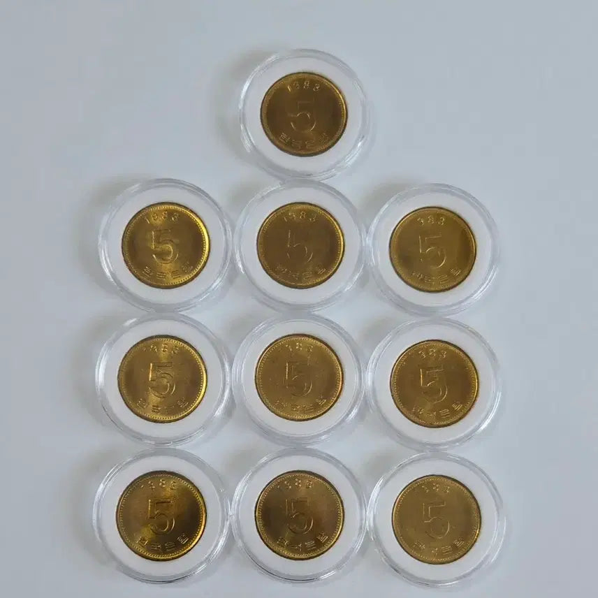 [BUNJANG] 1983 5 Won Coin Bundle (Unused) / 미사용 1983년 5원 주화 일괄
