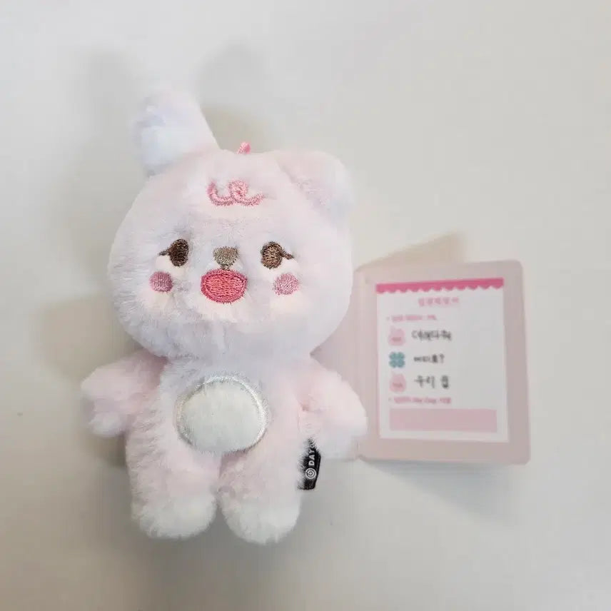 [BUNJANG] Day6 Dday Merchen Acrylic Stand / (원가이하) 데이식스 쁘멀 필