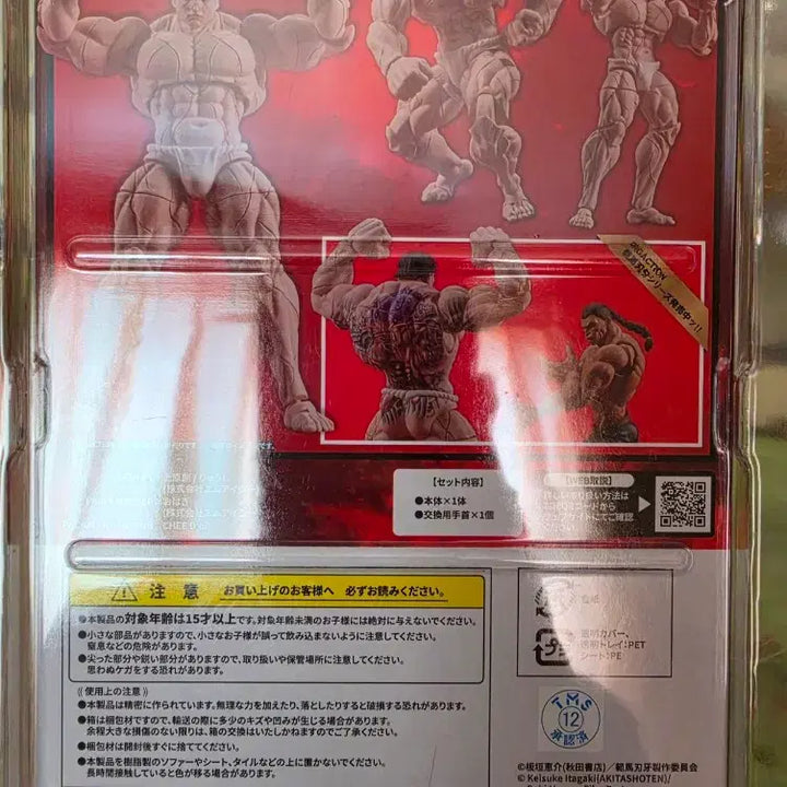 [BUNJANG] Baki Hanayama Kaoru Figure (Sealed) / 바키 하나야마카오루. 미개봉