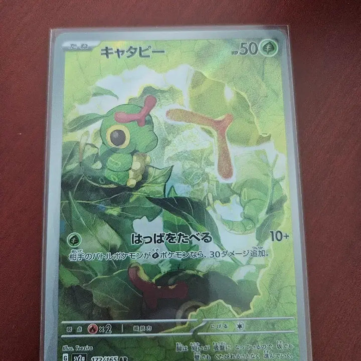 [BUNJANG] Pokemon Caterpie AR Card / [일판] 포켓몬카드 캐터피 AR