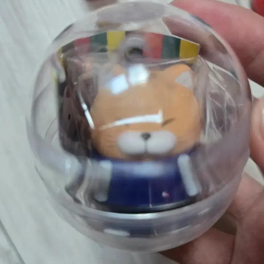 [BUNJANG] Amuse Wrestling Cat Gacha Figure / 어뮤즈 씨름고양이 가챠