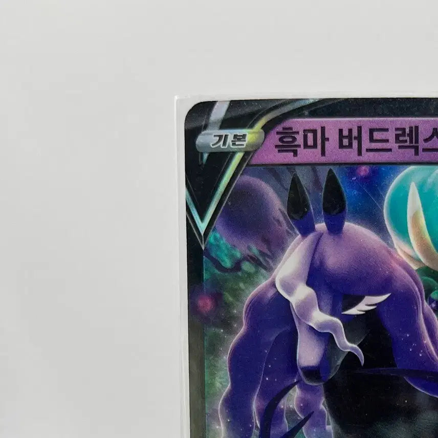 [BUNJANG] Pokemon Card Urshifu RR / 포켓몬카드 흑마 버드렉스 RR 상태좋음