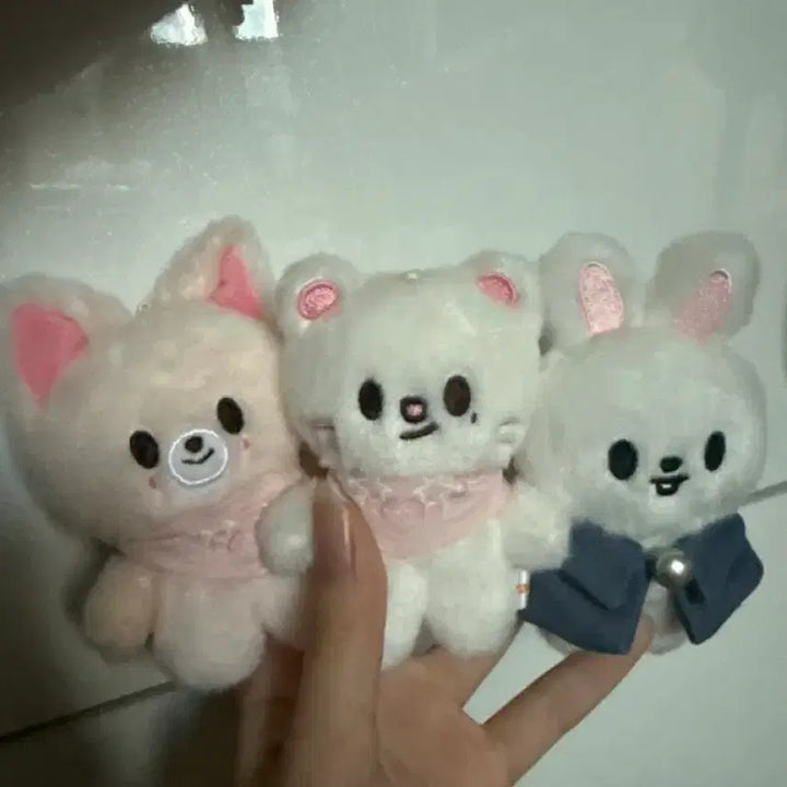 [BUNJANG] Stray Kids FoxNY 2023 Lucky Draw Bundle Set / 폭시니 지니렛 리빗 스키주 스트레이키즈 일괄 양도