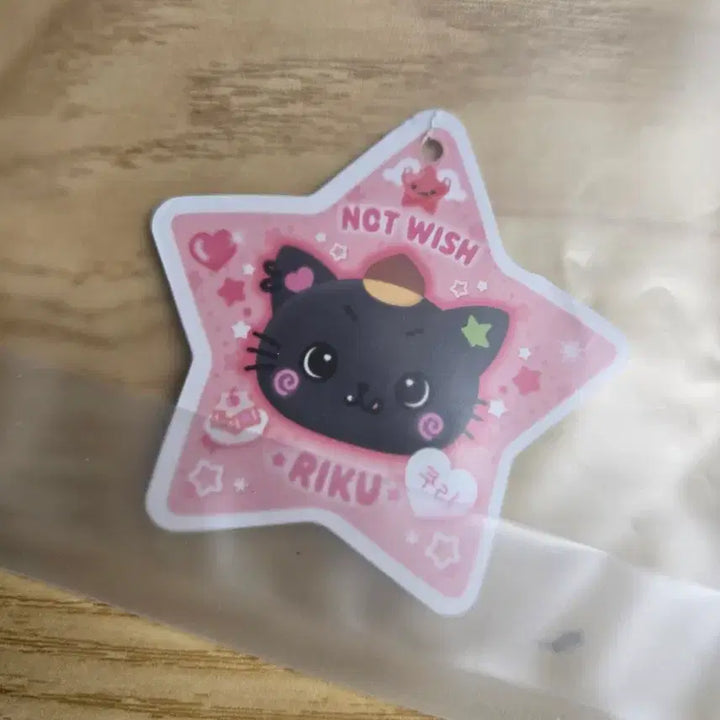 [BUNJANG] NCT WISH Riku Kuri Pocket Wishdoll Doll / 엔시티 위시 리쿠 쿠리 포켓 위시돌 인형