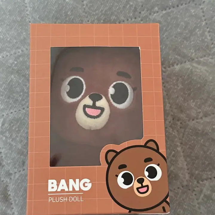 [BUNJANG] DAY6 Sungjin Doll 2019 Version / 데이식스 성진 방 2019버전 인형