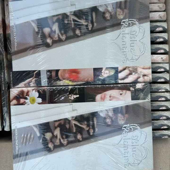 [BUNJANG] NMIXX 1st Full Album [Blue Valentine] Bundle Set (24 Sealed Albums) / NMIXX 정규 1집 미개봉 앨범 24장 일괄 판매합니다