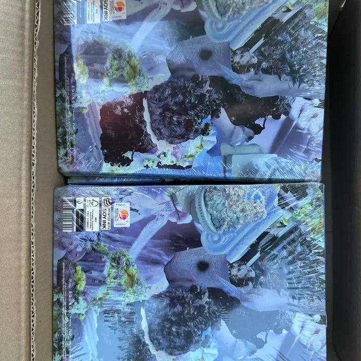 [BUNJANG] NMIXX 1st Full Album Blue Valentine Bundle Set (24 Units, Sealed) / [미개봉] NMIXX 엔믹스 정규 1집 Blue Valentine 24장 일괄 판매합니다