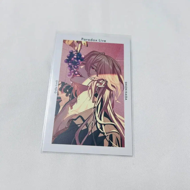 [BUNJANG] Paraliel Kida Shion Photocard Collection / 파라라이 카이다 시온 포토카드 콜렉션 지프리