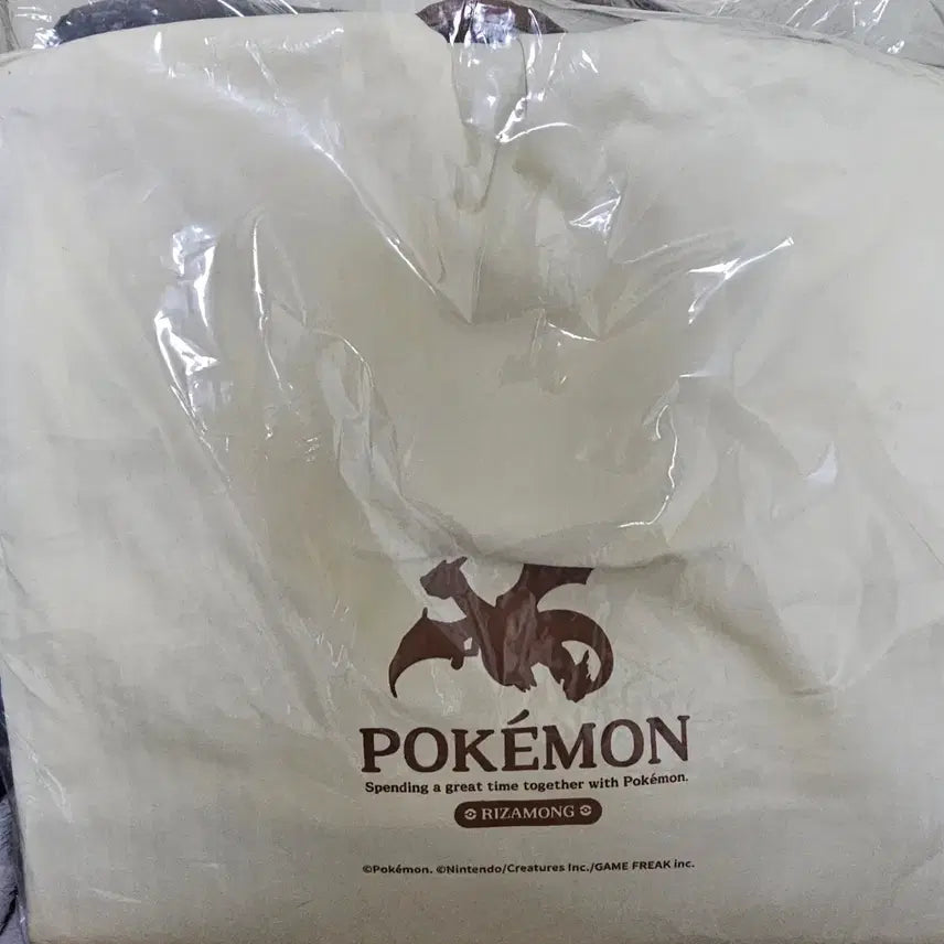 [BUNJANG] Pokémon ETERNAL ANTIQUE METAL Leather Canvas Tote Bag / 포켓몬스터 ETERNAL ANTIQUE METAL 레더 캔버스 토트백