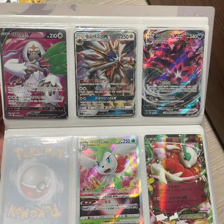 [BUNJANG] Pokemon Card Bundle Featuring Mega Evolution Kyogre and Shiny Rayquaza / 포켓몬카드
