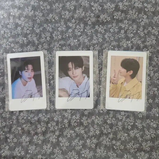[BUNJANG] Byun Woo Seok DICON Lucky Draw Photocard / 변우석 디아이콘 위버스특전 포토카드