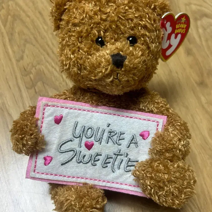 [BUNJANG] TYBEAR Stuffed Toy / ty베어