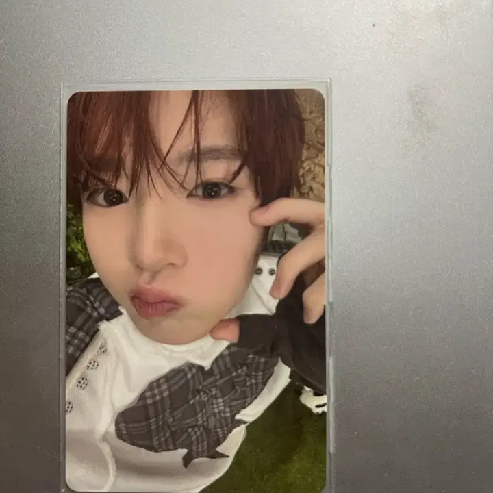 [BUNJANG] NCT WISH Sakuya Color Photocard / 엔시티위시 사쿠야 컬러 포카