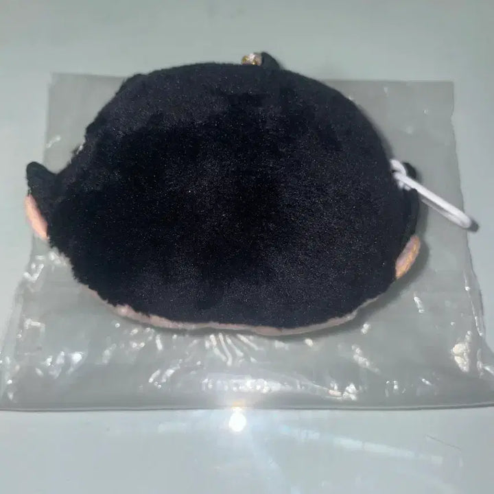 [BUNJANG] Kuroo Coin Pouch / 쿠로오 동전지갑