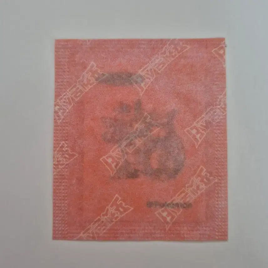 [BUNJANG] Pokemon 30th Anniversary Kabigon Sealed Ttibus / 포켓몬 30주년 기념 미개봉 코뿌리 띠부씰