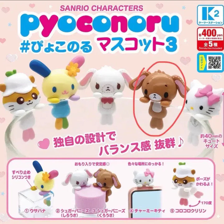 [BUNJANG] Sanrio Pukunolu Hyper Gacha Kurousa Sugarbunnies / 산리오 표코노루 히퍼 가챠 쿠로우사 슈가버니즈