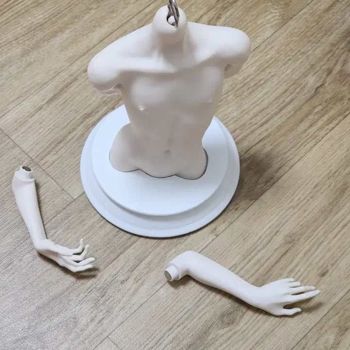 [BUNJANG] MSD Pale Torso Body BJD / msd 미백 토르소 바디 구체관절인형