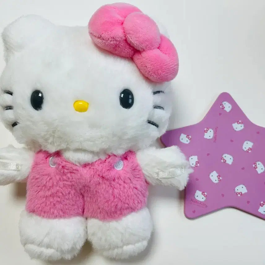 [BUNJANG] Hello Kitty Pittoto M / 헬로키티 키티 피탓토 M