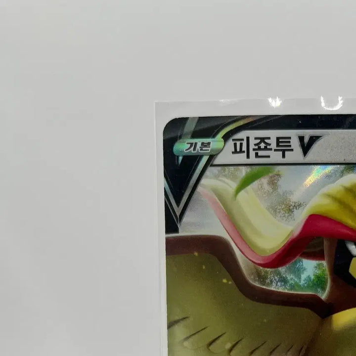 [BUNJANG] Pokémon F Pigeon RR / 포켓몬카드 피죤투 RR
