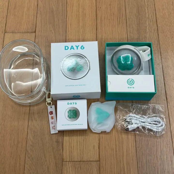 [BUNJANG] Day6 Sungjin Made Watch Clover Edition Full Set + Free Transparent Case / 데이식스 마데워치 네잎클로버 풀박 + 투명 케이스 증정