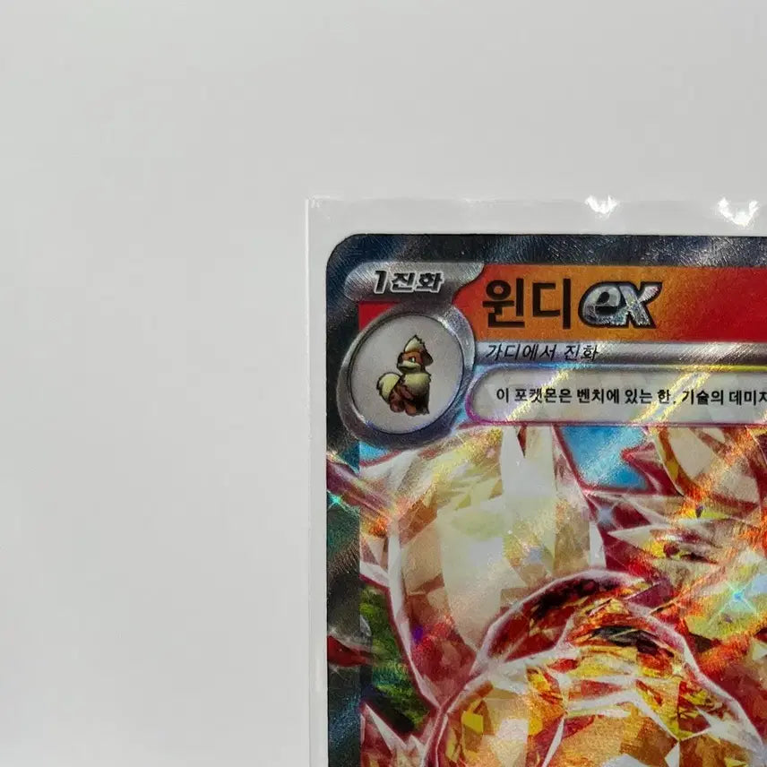 [BUNJANG] Pokemon Card Vintic RR / 포켓몬카드 윈디 RR