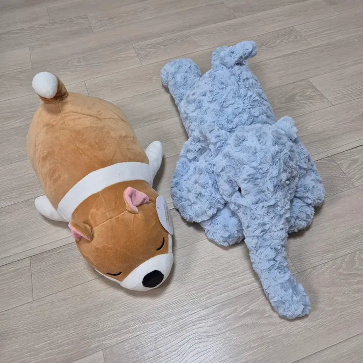 [BUNJANG] Shiba Inu / Elephant Medium Plush Dolls / 시바견/코끼리 중형 인형