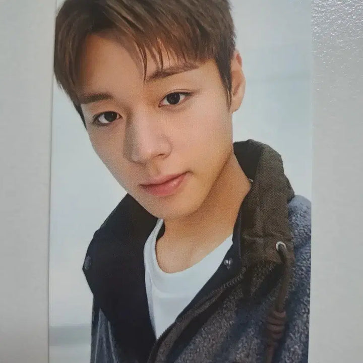 [BUNJANG] Park Ji Hoon Superdry Photocard Bundle Set / 박지훈 수퍼드라이 포카 3종 일괄 무배