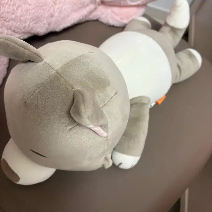 [BUNJANG] Brand Name Cushion / (14일까지만) 쁘넥도 명명이 2기 쿠션