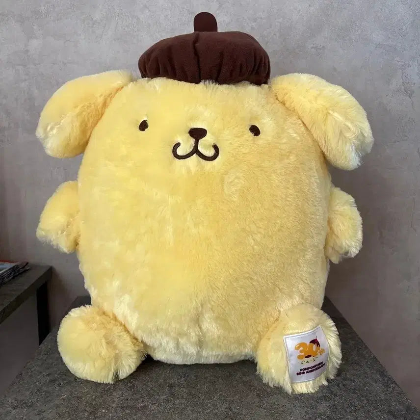 [BUNJANG] Sanrio Pompompurin 30th Anniversary Big Plush Doll / 산리오 폼폼푸린 30주년 Big 사이즈 인형