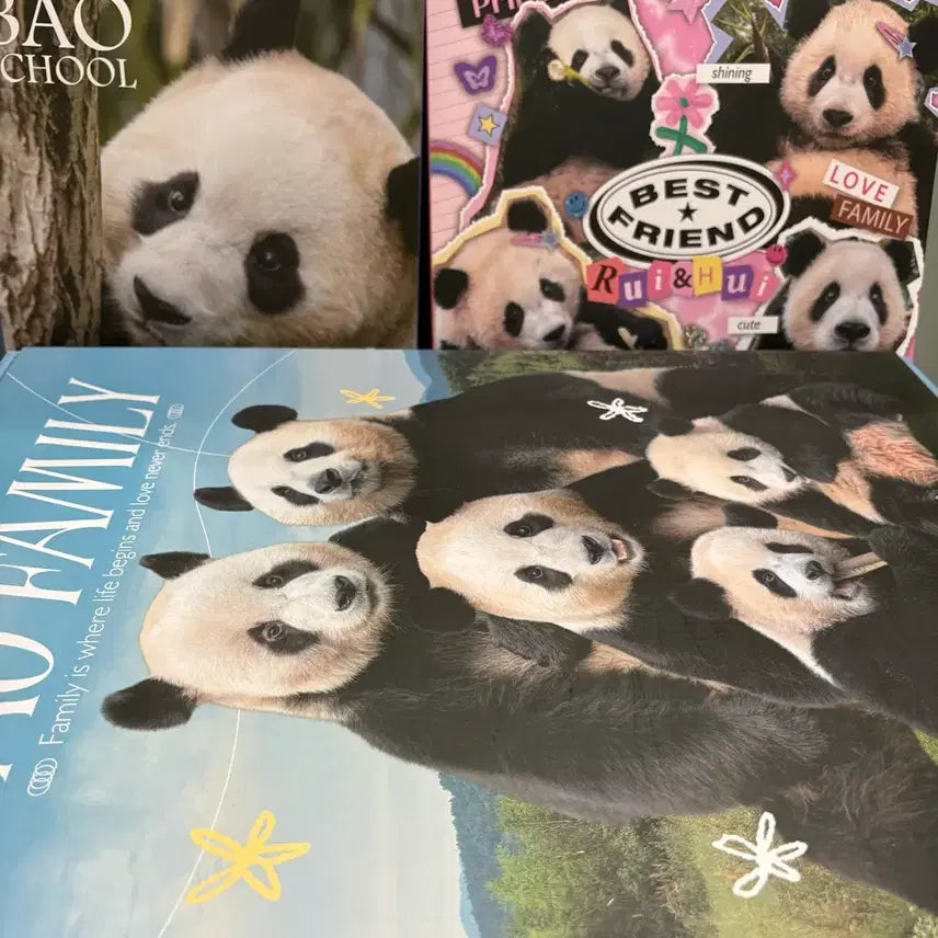 [BUNJANG] FuBao 2024 Season&