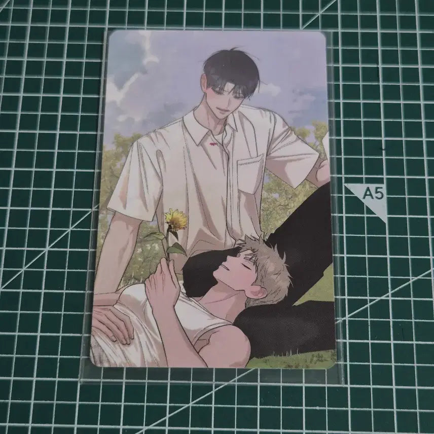 [BUNJANG] Hongsil Quest Pop-up Exclusive Photocard / 홍실퀘스트 팝업 특전 포토카드