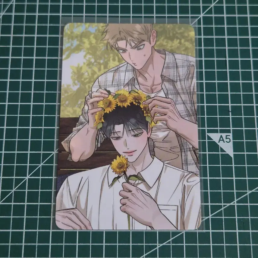 [BUNJANG] Hongsil Quest Pop-Up POB Photocard / 홍실퀘스트 팝업 특전 포토카드